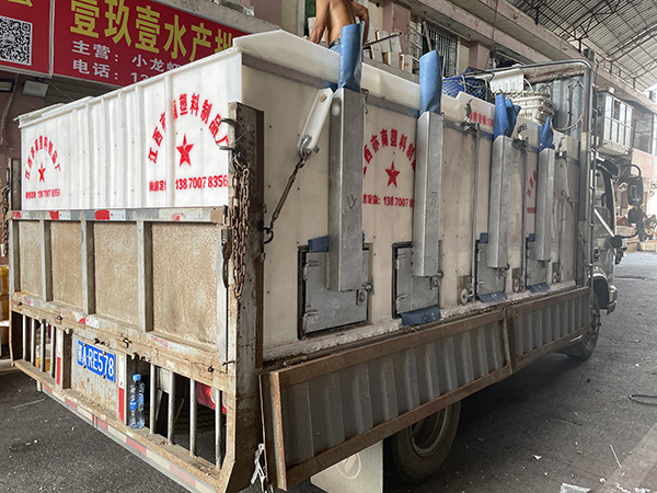 PP塑料保溫魚箱