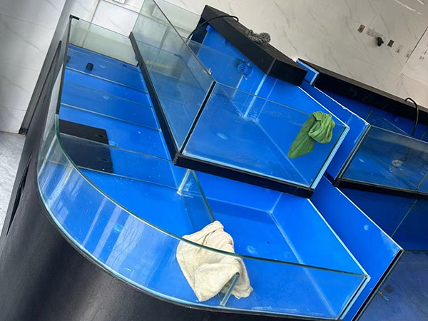 海鮮池  海鮮魚缸  酒店魚缸