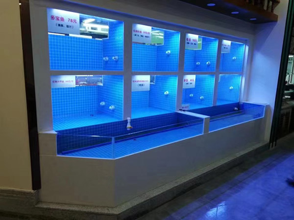 海鮮池  海鮮魚缸  酒店魚缸