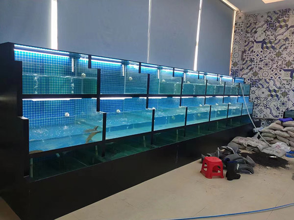海鮮池  海鮮魚缸  酒店魚缸
