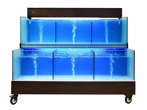 海鮮池  海鮮魚缸  酒店魚缸